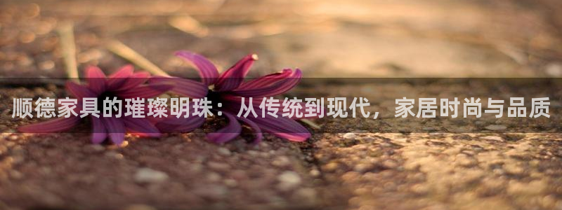 龙八国际怎么注册下载