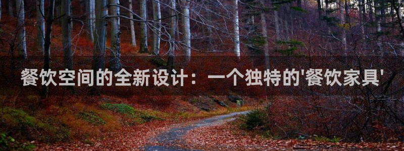 龙八国际是干什么的