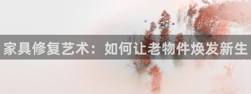 龙八国际安全吗