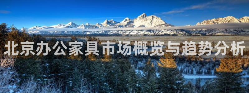 龙八国际娱乐游戏