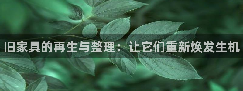 龙八国际集团有限公司