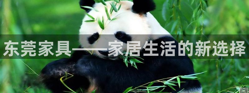 龙八国际app客户端下载不了