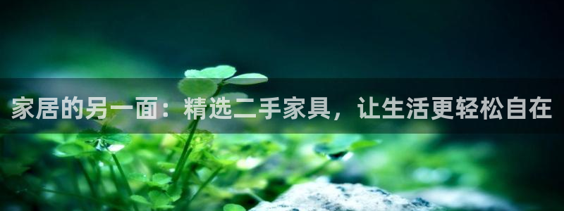 龙八国际官网首页