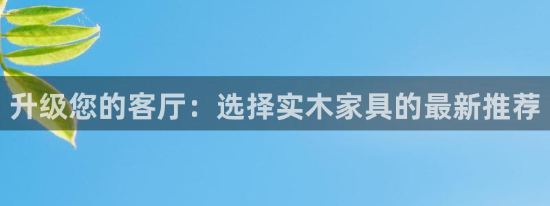 龙八国际头号玩家是谁啊