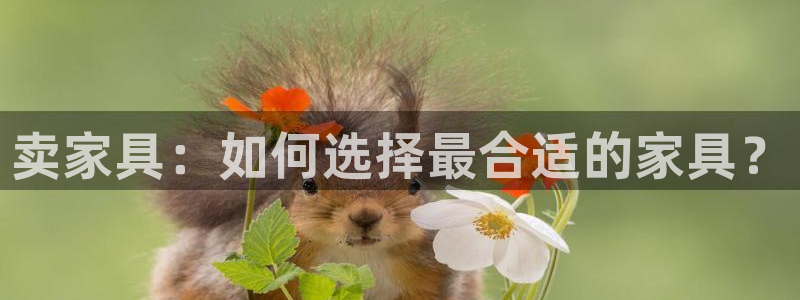 龙八国际苹果版下载