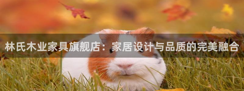 龙八龙八国际：林氏木业家具旗舰店：家居设计与品质的完美融合