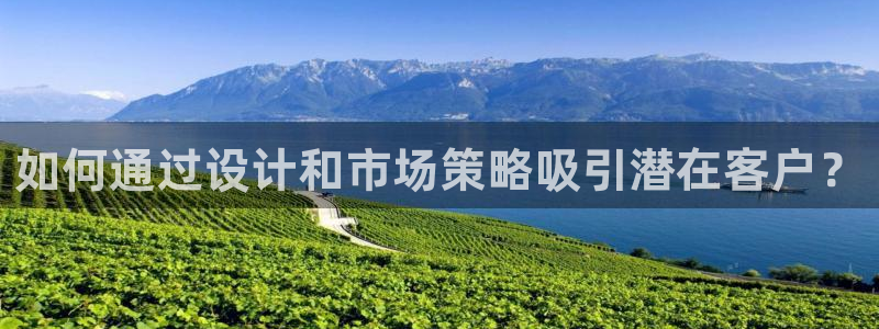 龙八国际是干什么的